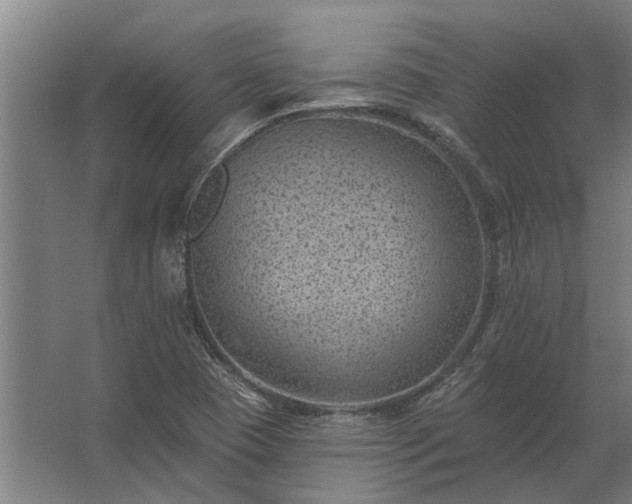 X0000062791409200512290211