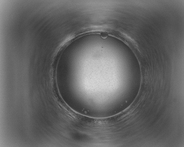 X0000062791411200512290211