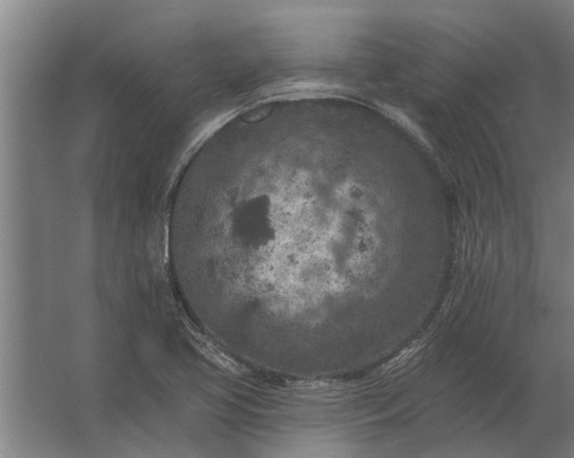 X0000062791413200512290211