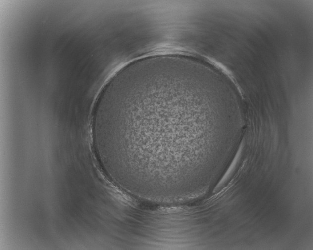 X0000062791415200512290211