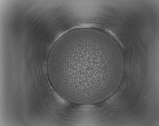 X0000062791417200512290211