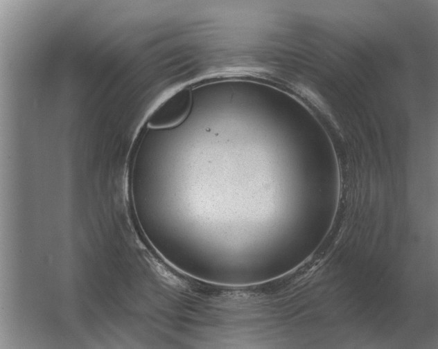 X0000062791420200512290211