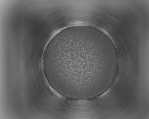 X0000062791421200512290211