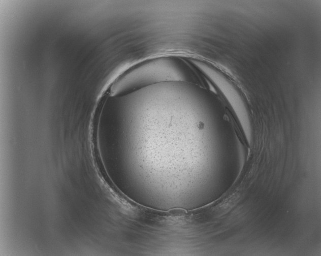 X0000062791422200512290211