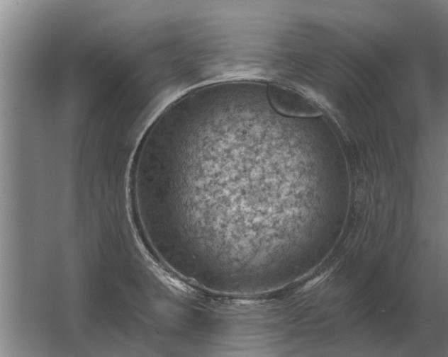 X0000062791423200512290211