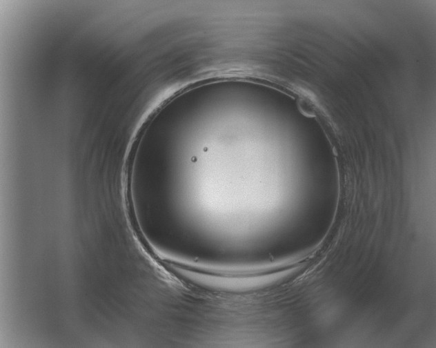 X0000062791424200512290211