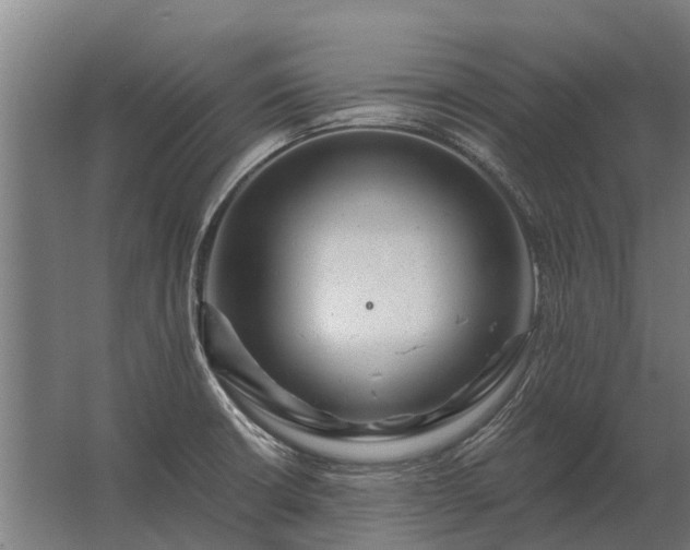 X0000062791426200512290211