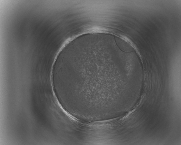 X0000062791429200512290211