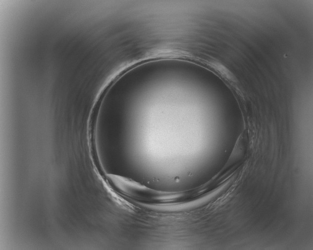 X0000062791430200512290211