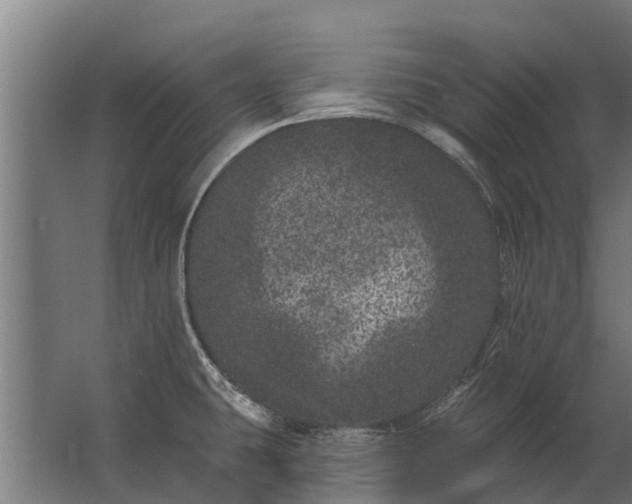 X0000062791431200512290211