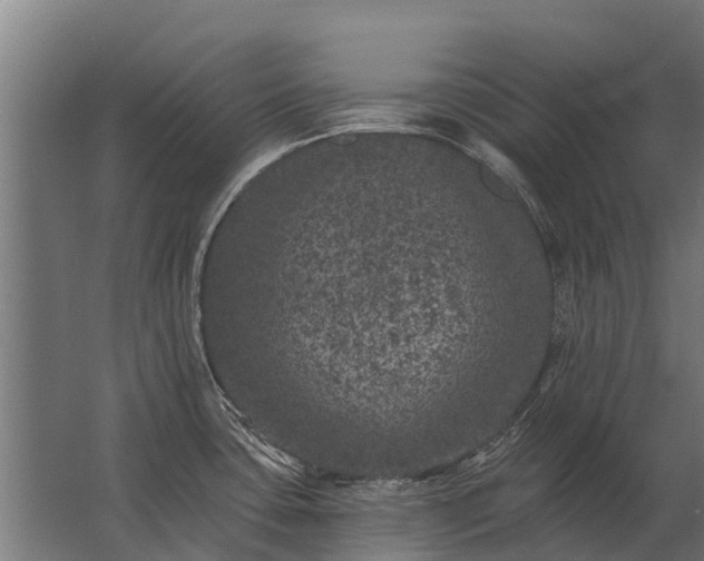 X0000062791435200512290211