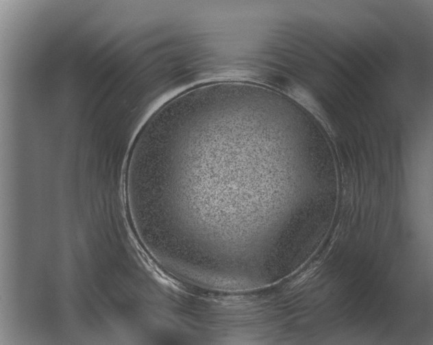 X0000062791436200512290211