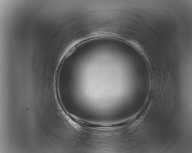 X0000062791438200512290211