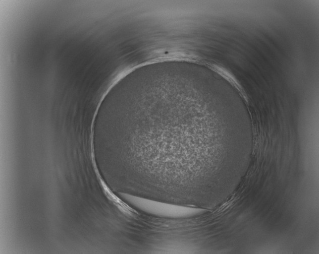 X0000062791439200512290211