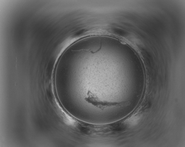 X0000062791440200512290211