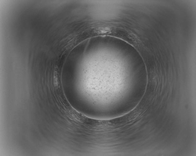 X0000062791442200512290210