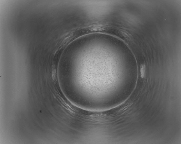 X0000062791444200512290210