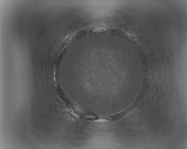 X0000062791445200512290210