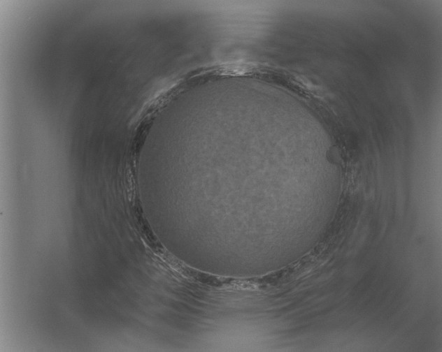 X0000062791446200512290210