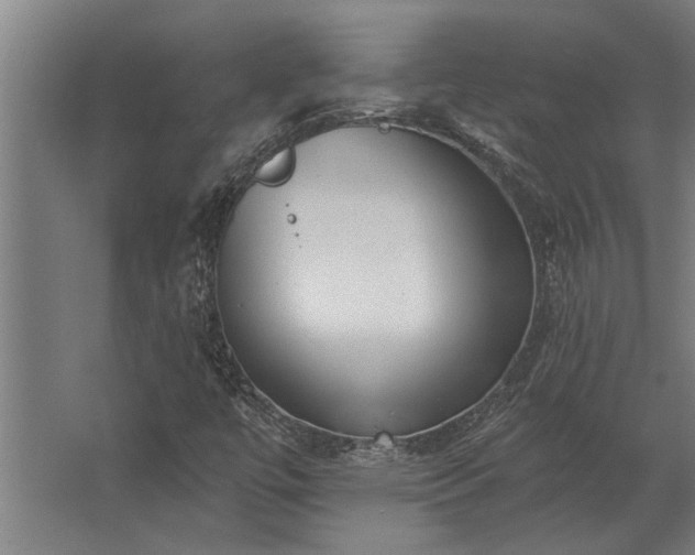 X0000062791447200512290210