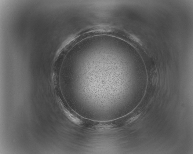 X0000062791448200512290210