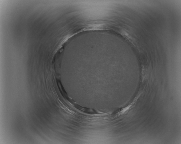 X0000062791449200512290210