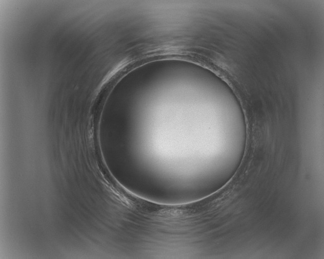 X0000062791450200512290210