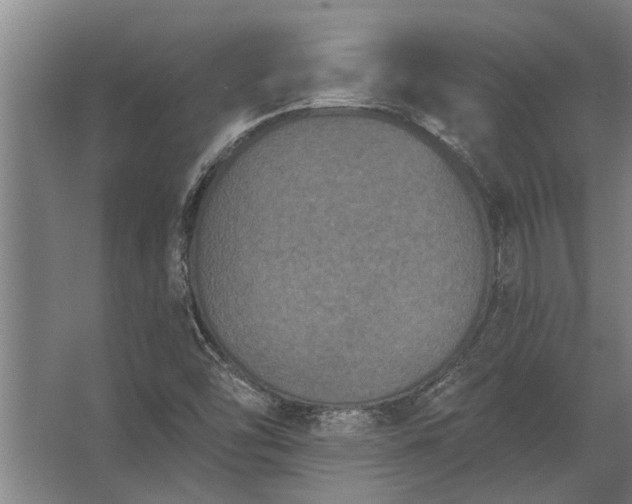 X0000062791454200512290210