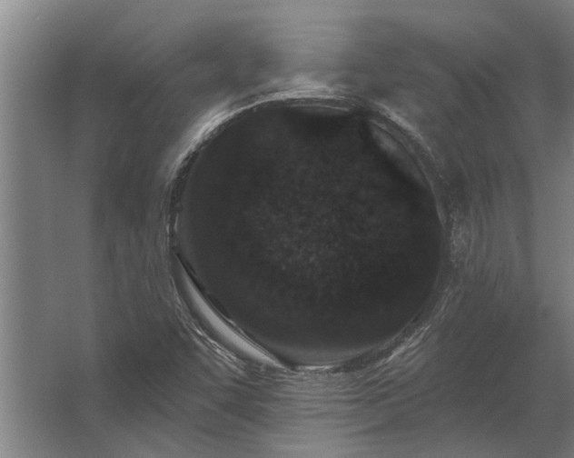 X0000062791455200512290210