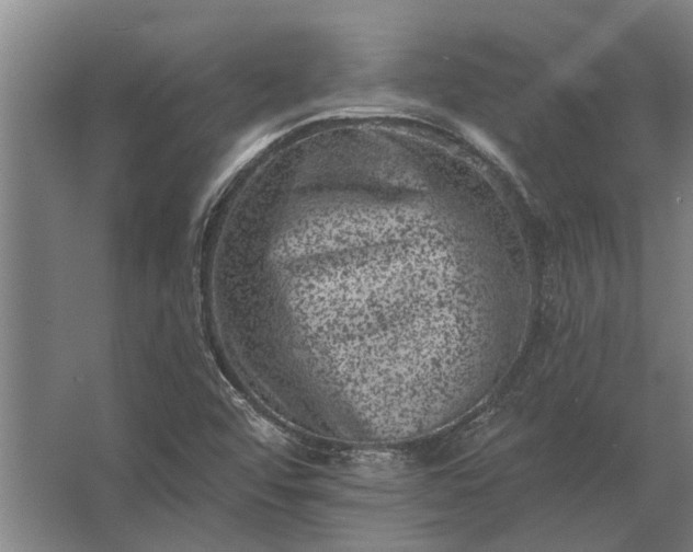 X0000062791456200512290210