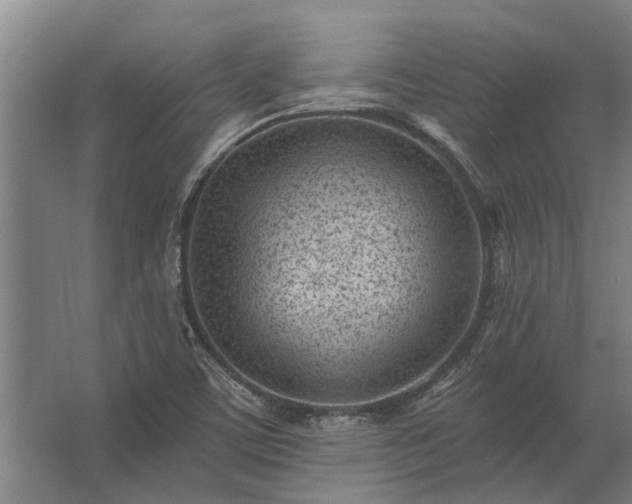 X0000062791459200512290210