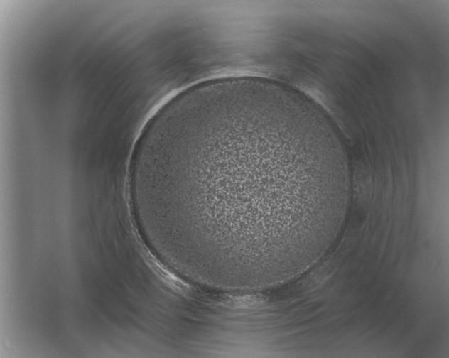 X0000062791460200512290210