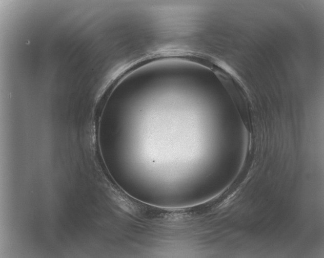 X0000062791461200512290210