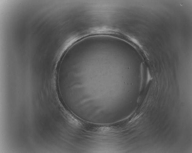 X0000062791463200512290210