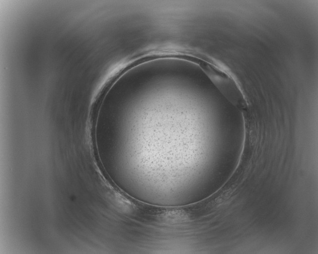 X0000062791464200512290210