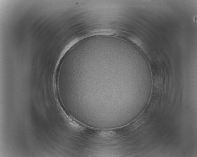 X0000062791466200512290210