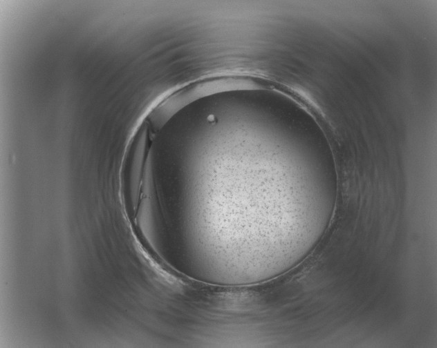 X0000062791468200512290210