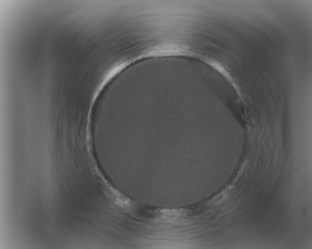 X0000062791469200512290210