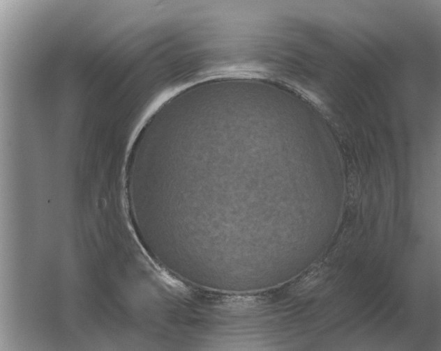 X0000062791470200512290210