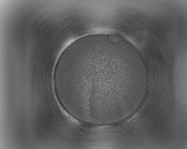 X0000062791471200512290210