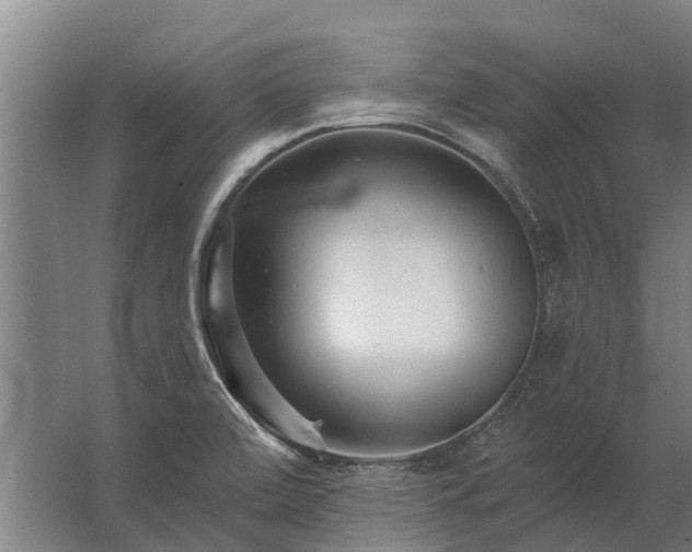 X0000062791472200512290210