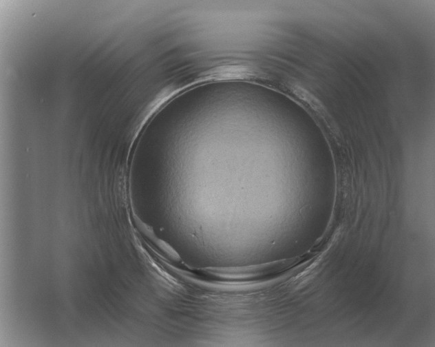 X0000062791473200512290210