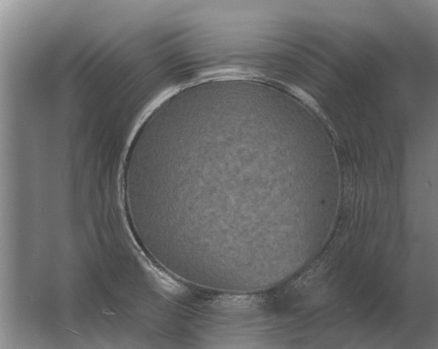 X0000062791474200512290210