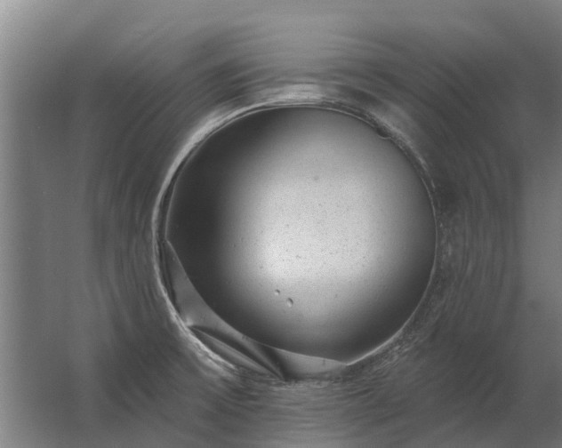 X0000062791475200512290210