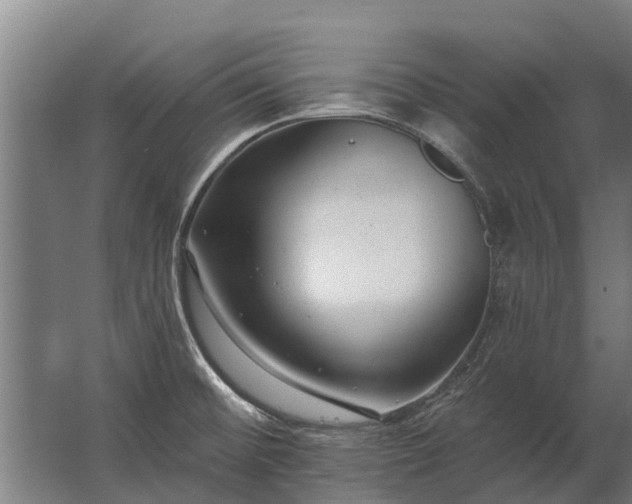 X0000062791476200512290210