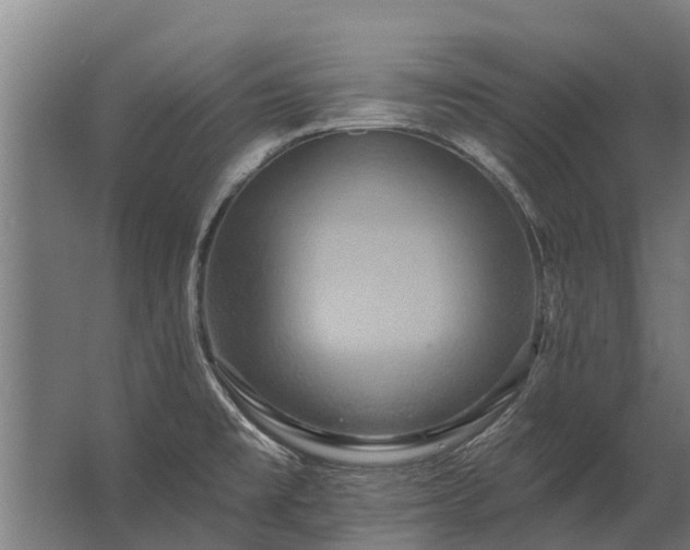 X0000062791477200512290210