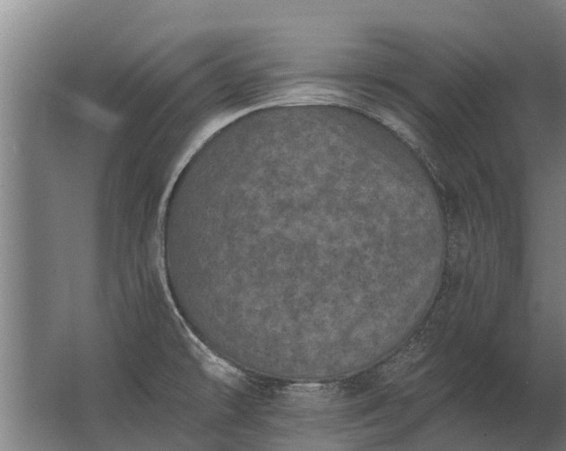 X0000062791478200512290210