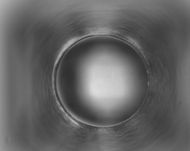 X0000062791480200512290210