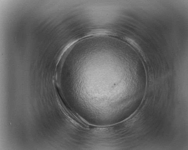 X0000062791481200512290210