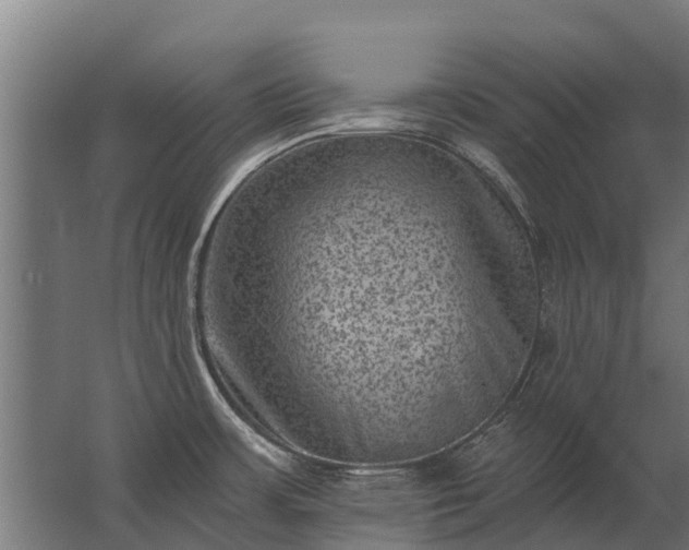 X0000062791483200512290210